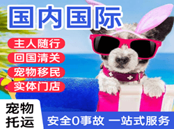 乌拉特中旗海流图航空空运国际宠物托运 【国